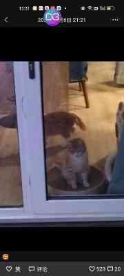 好友曝光李秉宪李敏贞合照