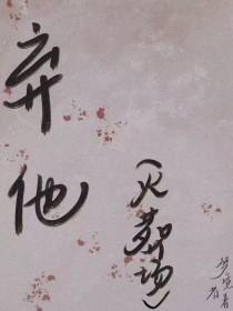 弃他如风大结局后续