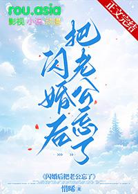 闪婚后把老公忘了讲的什么