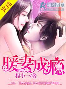 暖妻成瘾怎么样