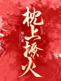 枕上撩火电视剧