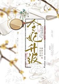 清穿之令贵妃晋升记微盘