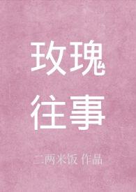 玫瑰往事这首歌暗示什么