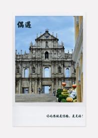 偶遇的阅读答案及分析