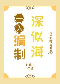 入编制就是公务员吗