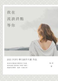 在我流浪他乡的这些年歌词意思