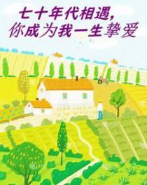 七十年代携手一生又名