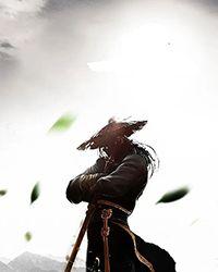 红楼之煕凤日常