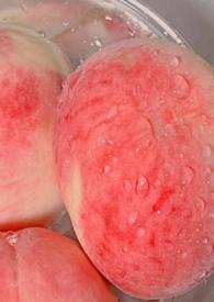 白桃父女黑格免费阅读无弹窗