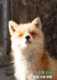 睡了反派男二之后(1v1)(岭南困了么)_