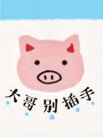 大哥别插手长佩