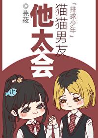 排球少年猫猫男友他太会