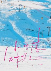 雪落在车上的描写