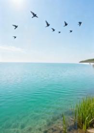 归去来兮辞原文及翻译