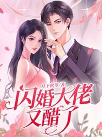 闪婚大佬后