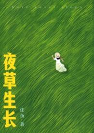 夜草什么意思