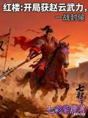 红楼开局获赵云武力
