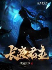 风凌天下长夜君主