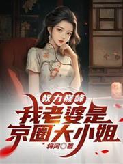 权力巅峰我老婆是京圈大小姐免费观