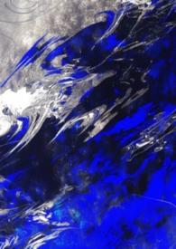 S级向导的治疗记录单(哨向nph)po