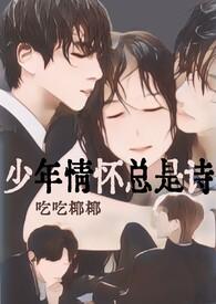 少年情怀总是诗是什么意思