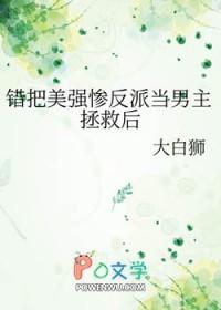 错把反派当男主后宝书网