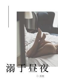 溺于昼夜(NP)